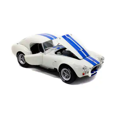 S1804906Shelby2
