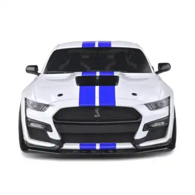 S1805904Shelby4