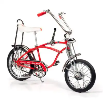 schwinn1